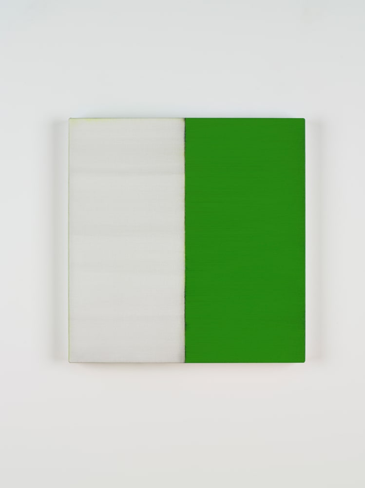 Untitled 2009 No 66 oil on linen 64 x 62 cm